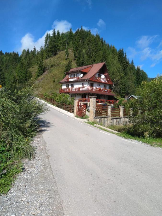Guest house Pensiunea Roua Diminetilor 3*