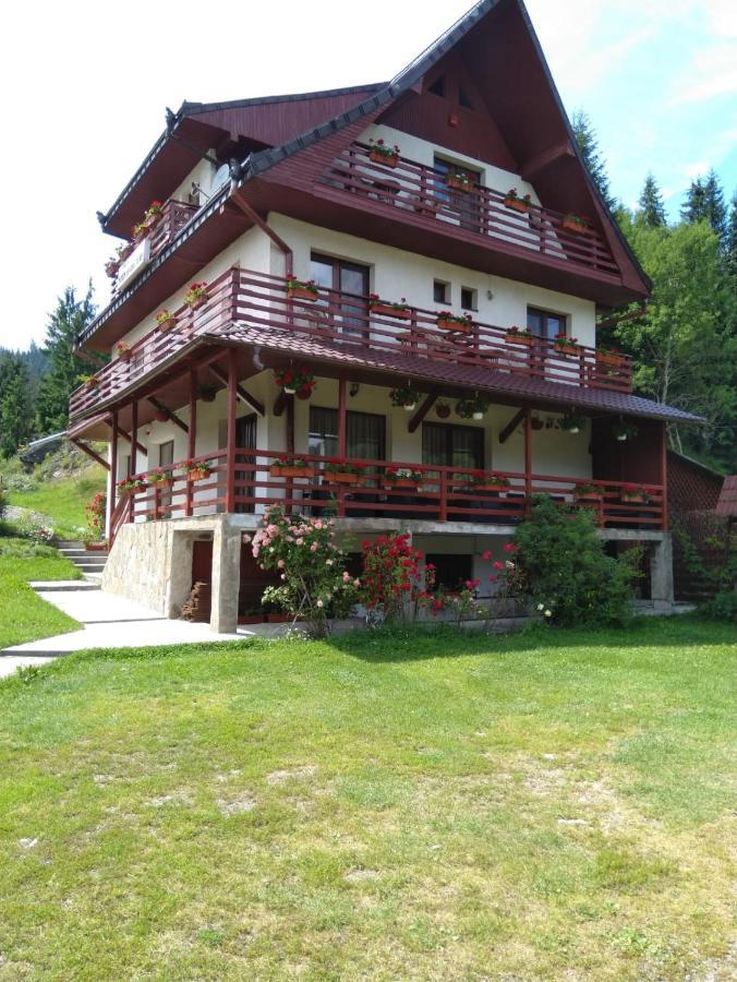 Guest house Pensiunea Roua Diminetilor 3*