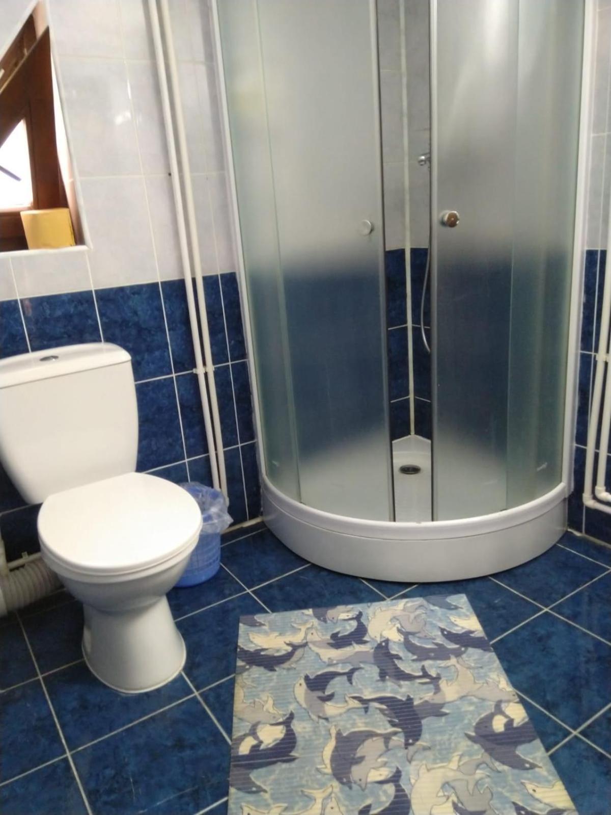 Gasthof Pensiunea Roua Diminetilor 3*