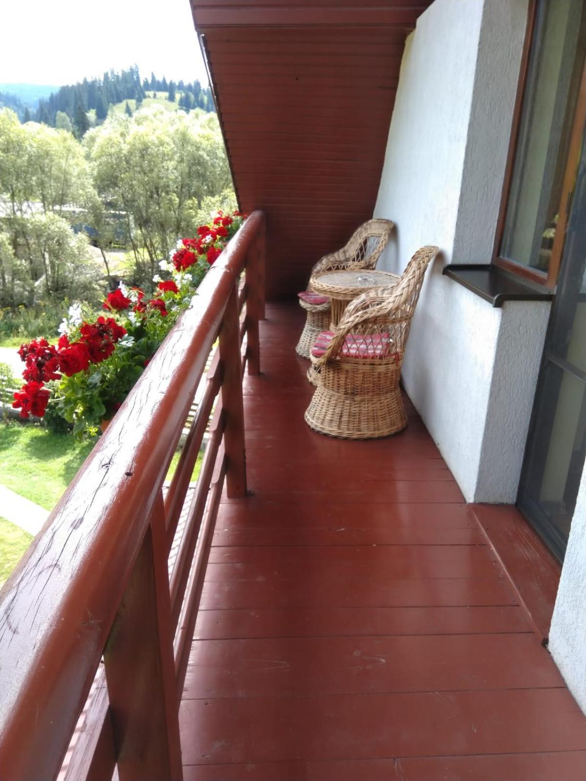 Pensiunea Roua Diminetilor Gasthof